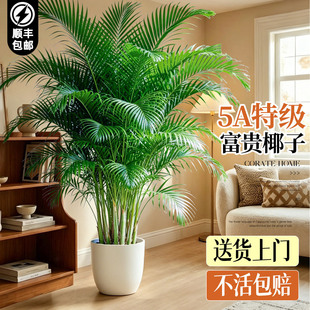 ���FҬ�ӿ͏d���;Gֲɢβ��ֲ�������҃��Pβ���k���ļ�������B