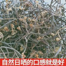 �ʲ˲˲˸ɸ�؛���lɽҰ��ާ�˴�ȫ���aȭ��횲��uצ���r��ާ��