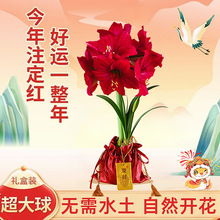 ��피tϞ���M���ذ��Ϟ��피t�N��Y������Y����˺��B����ֲ��