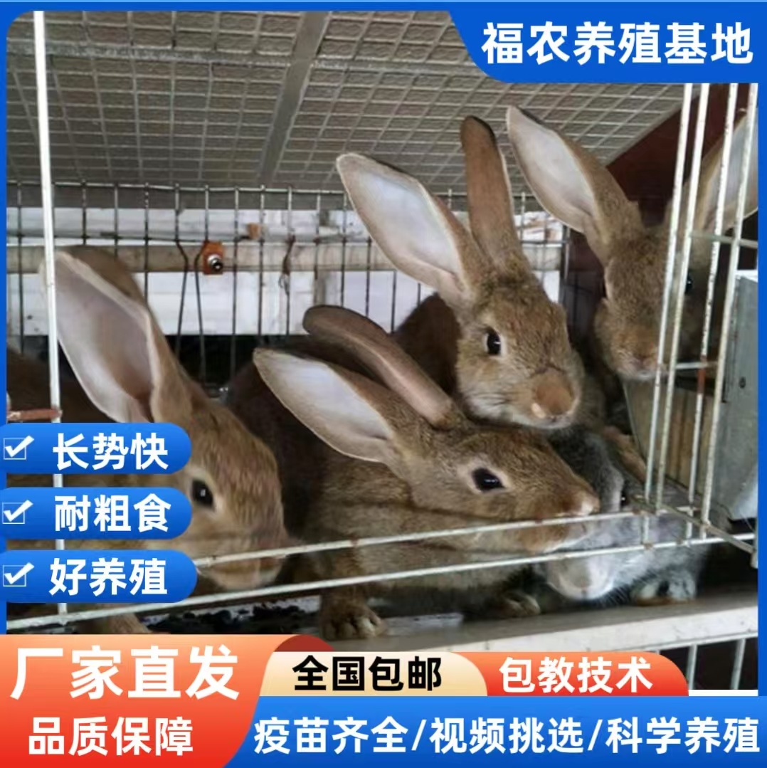 微信图片_20250311103659