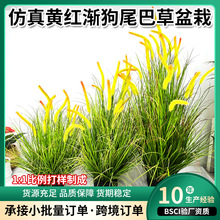 羳F؛湷βͲݷJȔֲؼҾә[辰Gֲ