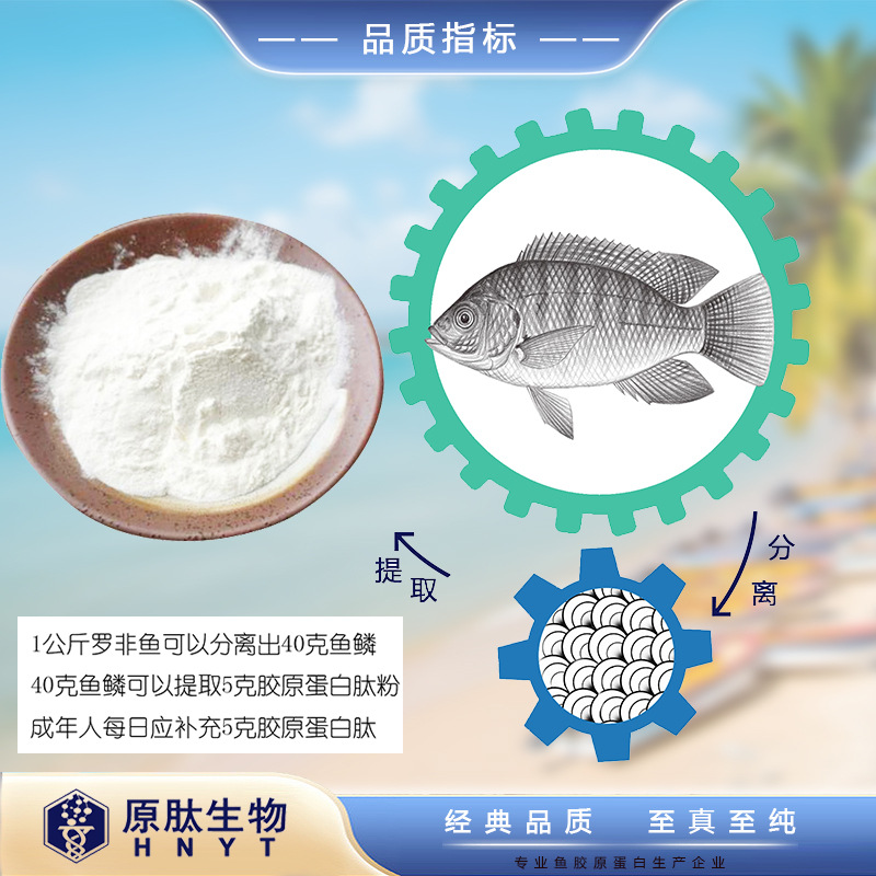 胶原蛋白肽粉 无添加营养纯肽活性肽鱼皮肽蛋白粉 口服液食品饮料