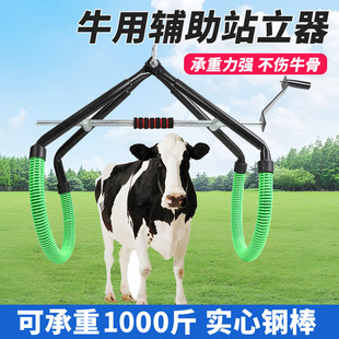 ţ�������ܼӺ��ţ�o��վ����ĸţ��������ţ��ţ��֧�μܵ���