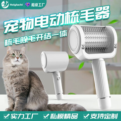 Amazon pet electric comb automatic hair comb cat and dog charging automatic massage comb floating hair hair remover