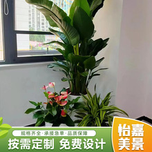 �҃�΢���^�Gֲ�M�������������U�Gֲ�����҃ȴ��;Gֲ�k���һ���