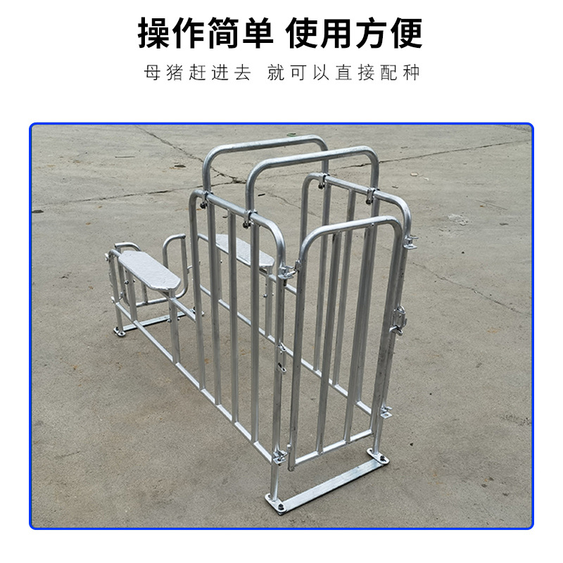 Estante de semilla de cerdas galvanizado en caliente, estante de recolección de esperma de cerdos macho, aparato de cría de artefactos mágicos de semilla de cerdos de patas bajas