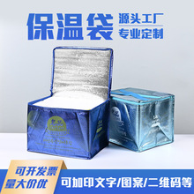 无纺布珍珠棉保温袋定制外卖大闸蟹海鲜保鲜冷藏拉链手提冰包定做