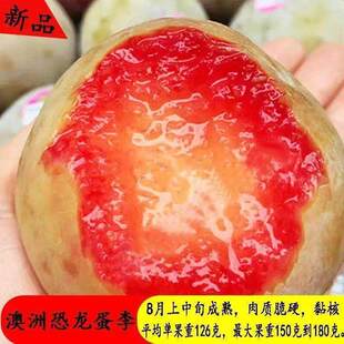 ���޿��������Ӽ޽������Ե��Թ������Ϸ������Nֲ����Y��������