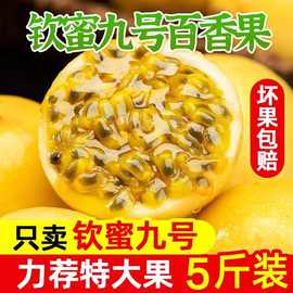 【现货】赣南钦蜜9号黄金百香果5斤新鲜水果整箱黄白香果非果酱柠