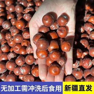 �½�Ұ��С�ᗗ�خaɳ��500gҰ�ᗗ��Ȼ�ЋD��Ⱥ�˯�ᗗ�ʟo�ӹ�