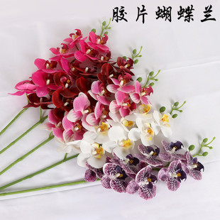 8�^�ָ��zƬ�����m��c�b��쾰���滨�͏d�͏d�b�������m