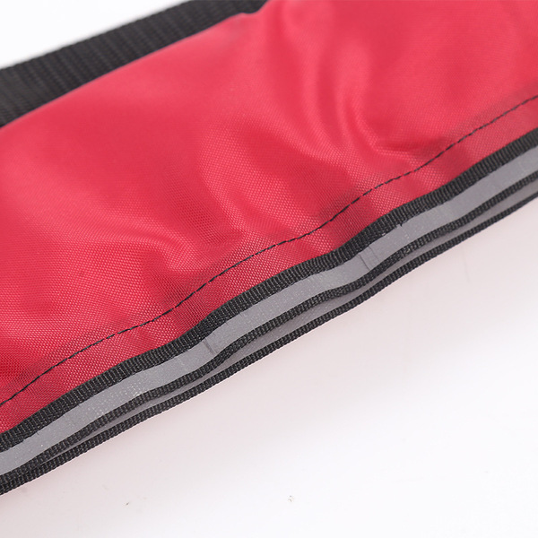 Belt for adults
