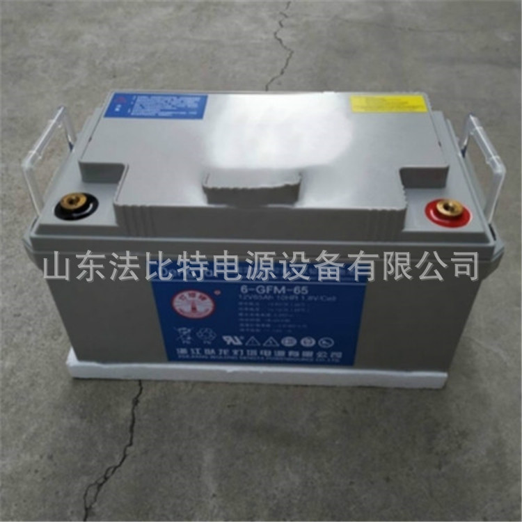 卧龙灯塔蓄电池6-GFM-65/12V65Ah通讯器材 卧龙灯塔电池6-GFM-65
