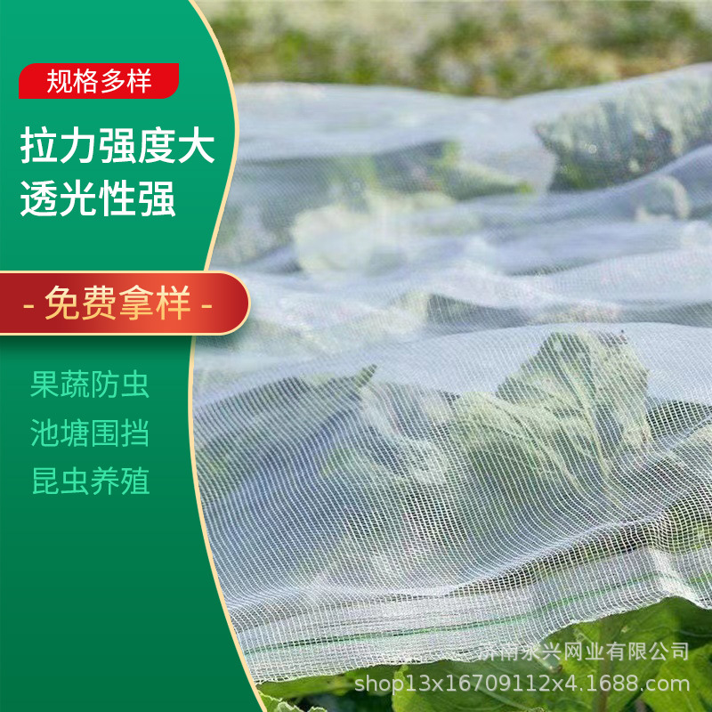 现货防虫网40目60目80目 加厚农用蔬菜大棚果树网罩 防虫网厂家