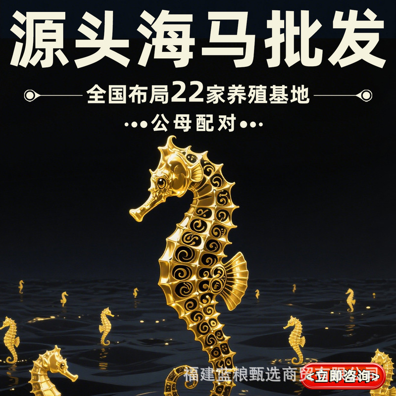 【全规格10公斤直销】养殖海马干泡酒煲汤滋补精品公母配对非药材|undefined