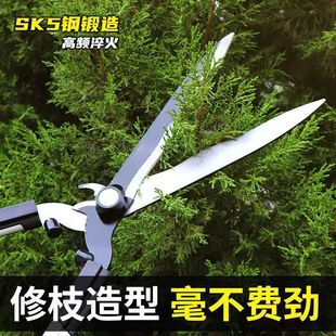 Gardening Scissors Garden Flower Scissors Flower and Tree Pruning Scissors Lawn Hedge Scissors Twigs Lawn Scissors