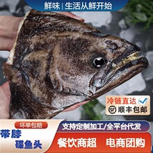 鸦片鱼碟鱼头新鲜冷冻超大整条切深海比目鱼雅片鱼头蝶鱼商用优选
