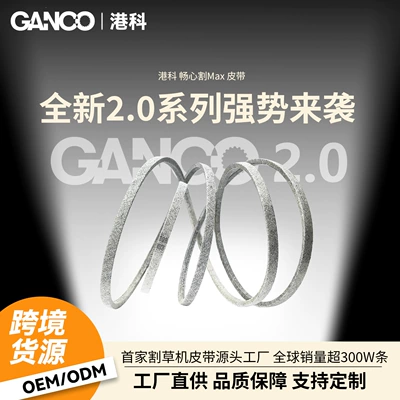 Gx20006 Is Suitable for Avtomobil ötürücü kəmərləri