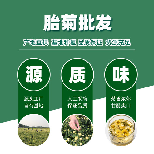New goods in bulk Tongxiang fetal chrysanthemum herbal tea chrysanthemum tea Hangzhou white chrysanthemum fetal chrysanthemum king origin factory wholesale