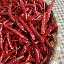 新鲜厂家直供干辣椒小尖椒朝天椒火锅香辣商用红油特辣干货