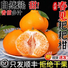 ��S�����Ĵ���Ҋ�ҰҸ����r���Ӯ���ˮ���Fժ�����θ̳�̽۴��