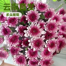 ���^�r���r�����l���ֱ�l���@������ͥ��ƿ�[���Fُ؛Դһ�����l