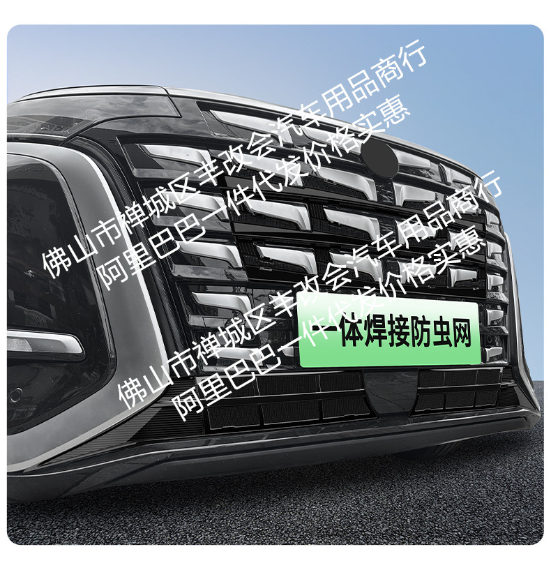 Suitable for Denza D9 Integrated Welded Car Insect-Proof Net Front Grille Special Modified Decorative Strip Accessories