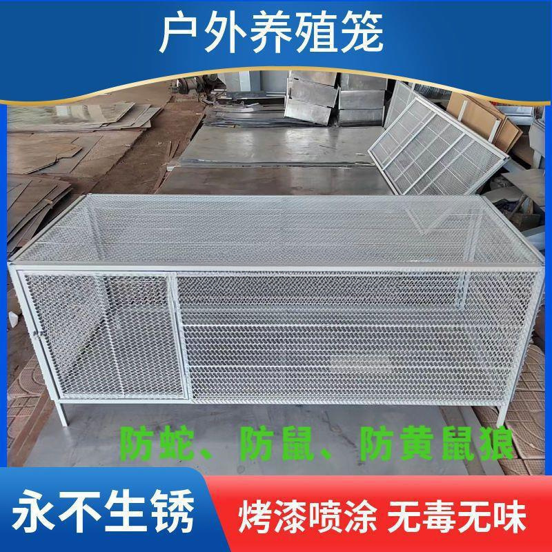 鸡笼鸽笼兔笼家禽笼防鼠蛇黄狼家用养殖厂家直销冲孔网