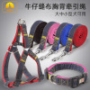 Wholesale Pippi Tao Walking Dog Pets Pets and Better Tied Dog Cowboy Betlin Pet Dog Direction Rope