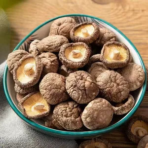Сезонные сушеные грибы без серы с толстым мясом и домашними грибами без корней, новые поступления для жареных супов, грибы, прямые продажи с фабрики, натуральные