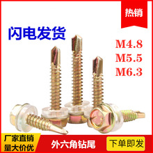 ���������β�z�ݲ���������β�ݽz�����Թ��ݽz�ݼy����ߌ�