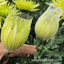 ǶĵձoWײ˹վW ƹҾ״Wrлb