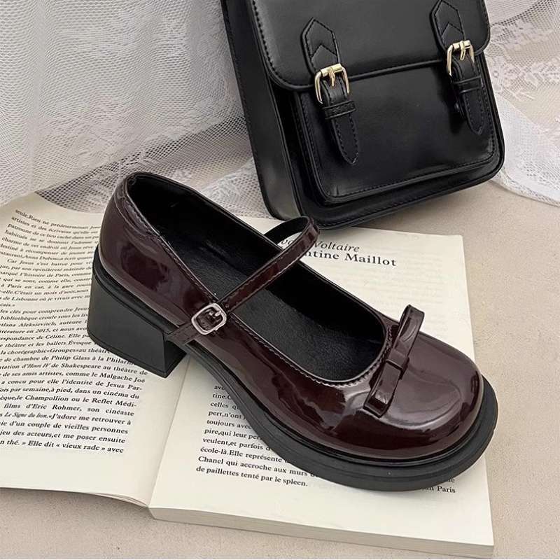 브라운 일반 버전