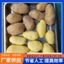 自动生产蒸汽土豆去皮机