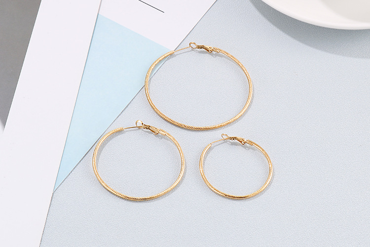 Fashion Geometric Titanium Steel 18K Gold Plated Earrings display picture 5