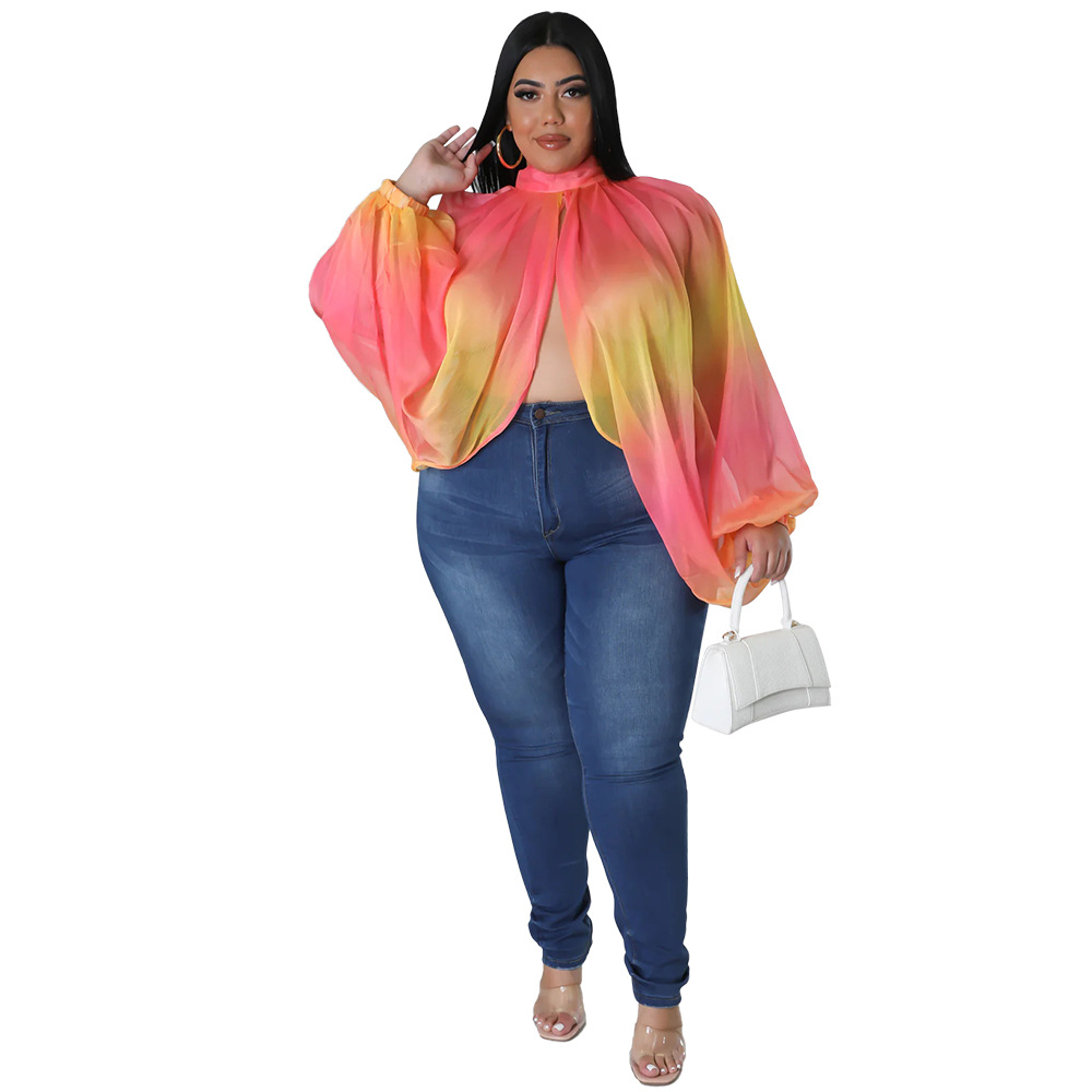 252g Weight Long Sleeve Sleeve Length Regular Sleeve Sleeve Type Spandex, Polyester, Chiffon Fabric Type Long Top Length Blouse Tops Type Daily, Street Occasion Round Neck Neckline Regular Fit Fit Type Color Block Pattern Spring&Summer Season Streetwear Style Blouse Long Sleeve Plus Size Tops Streetwear Color Block 57