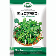 西洋菜种子豆瓣菜种籽孑四季菜种秋季蔬菜籽种水芥菜广东青菜大全