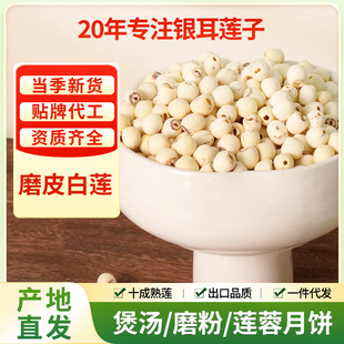 ��26����؛������ĥƤ��ɏ500g��Ʒ�|��؛ȥо�o���Ҝ����؛���l