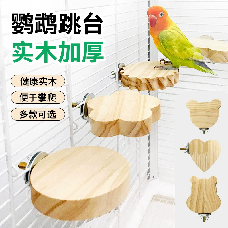 Попугай прыгает на платформе из цельного дерева