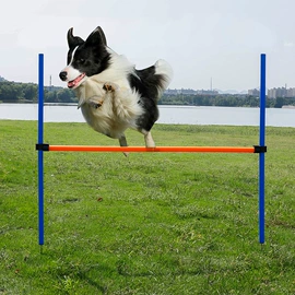 训练用品;仓鼠玩具;足球训练用具