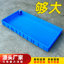 ���ϴ�\�P�L���κ�ʳƷ�P��������D���ռ{���ش�̖؈ɰ�P���z��