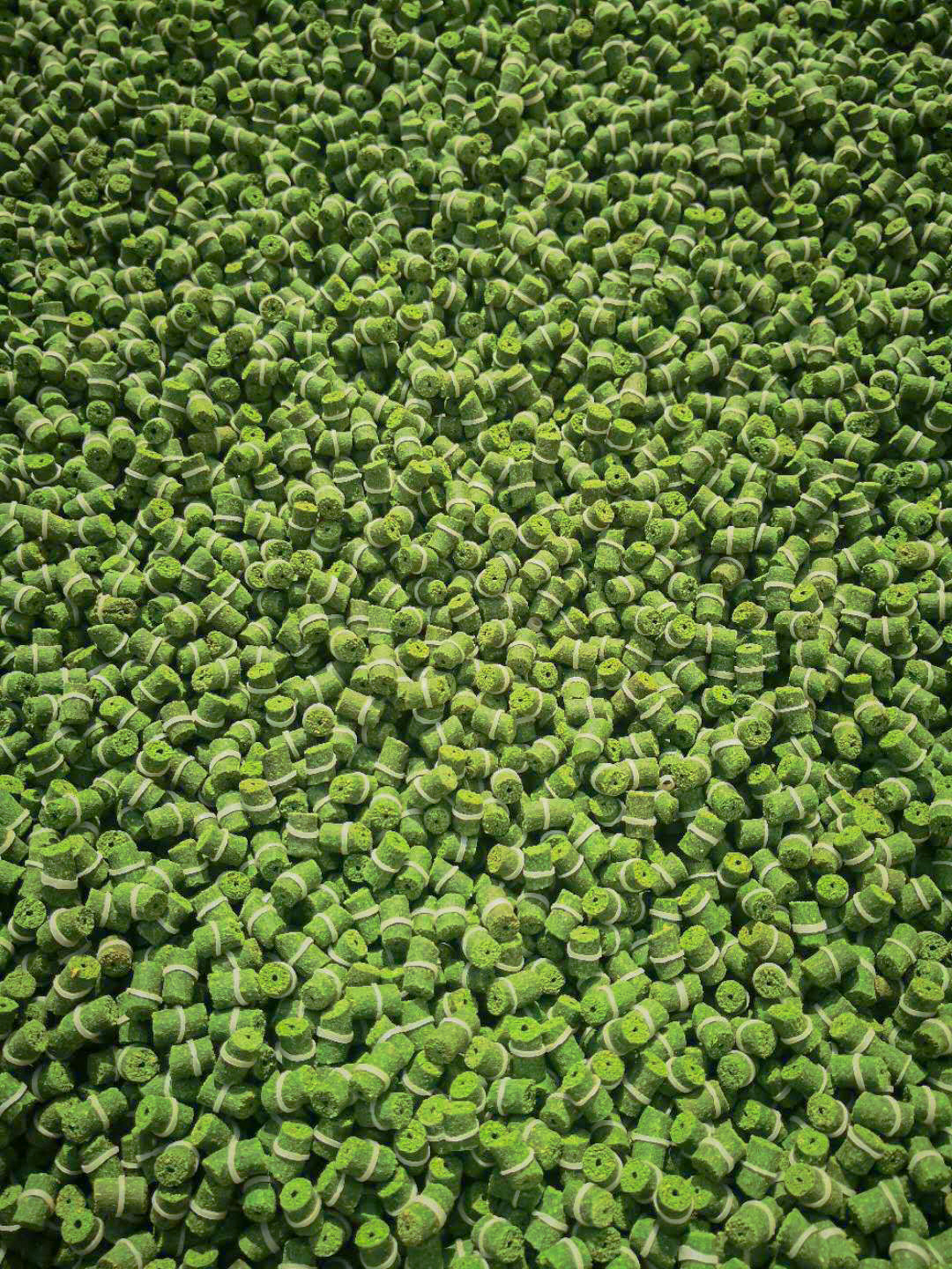 8554596467_1475966807