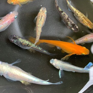 �^�����F�~�~��260�w����15Ʒ�N������ˮ�~С���^�p���w������]