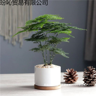 �����҃�С�����׻���B�k���ҾGֲ������ֲ������՚�