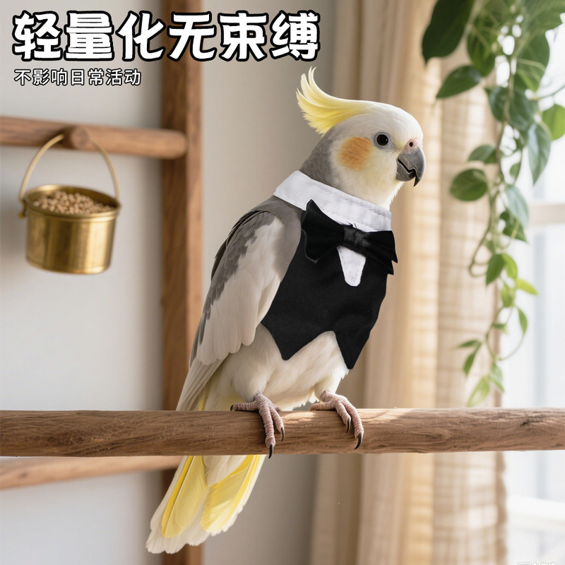 跨境新款鹦鹉外出防风帅气装扮礼服小宠鹦鹉领结西装搞怪变身装|undefined