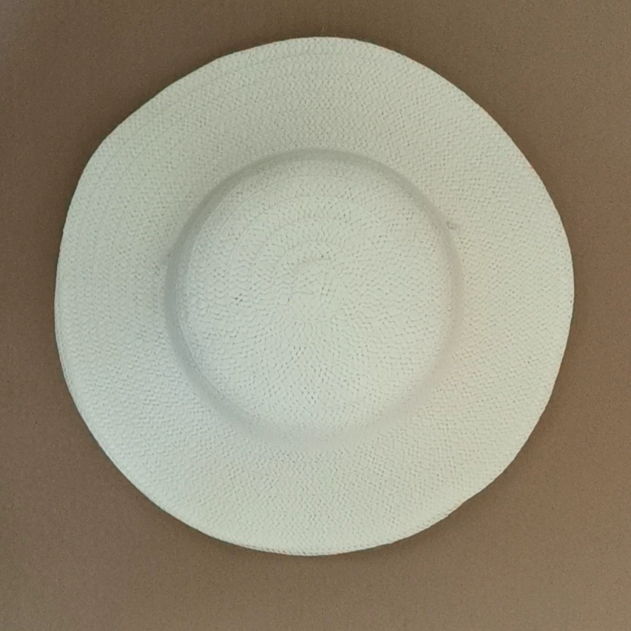 Соломенная шляпа DIY для взрослых и детей, набор для окрашивания с кистями, без рисунка, для прогулок весной и осенью, учебных поездок, для совместного использования родителей и детей, с широкими полями