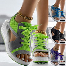 LZT5675�����¿��ɸ�כ�Ь����¸�͸��u�uЬŮ�W��Ь���m�\��