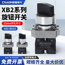 ��ҵZB2ѡ��XB2-BD33C XB2-BD25 XB2-BD33 BD45 BD53��ť��ť����