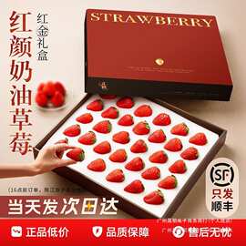 红颜奶油草莓礼盒装新鲜水果5斤应当季99九九牛奶大整箱3顺丰包邮