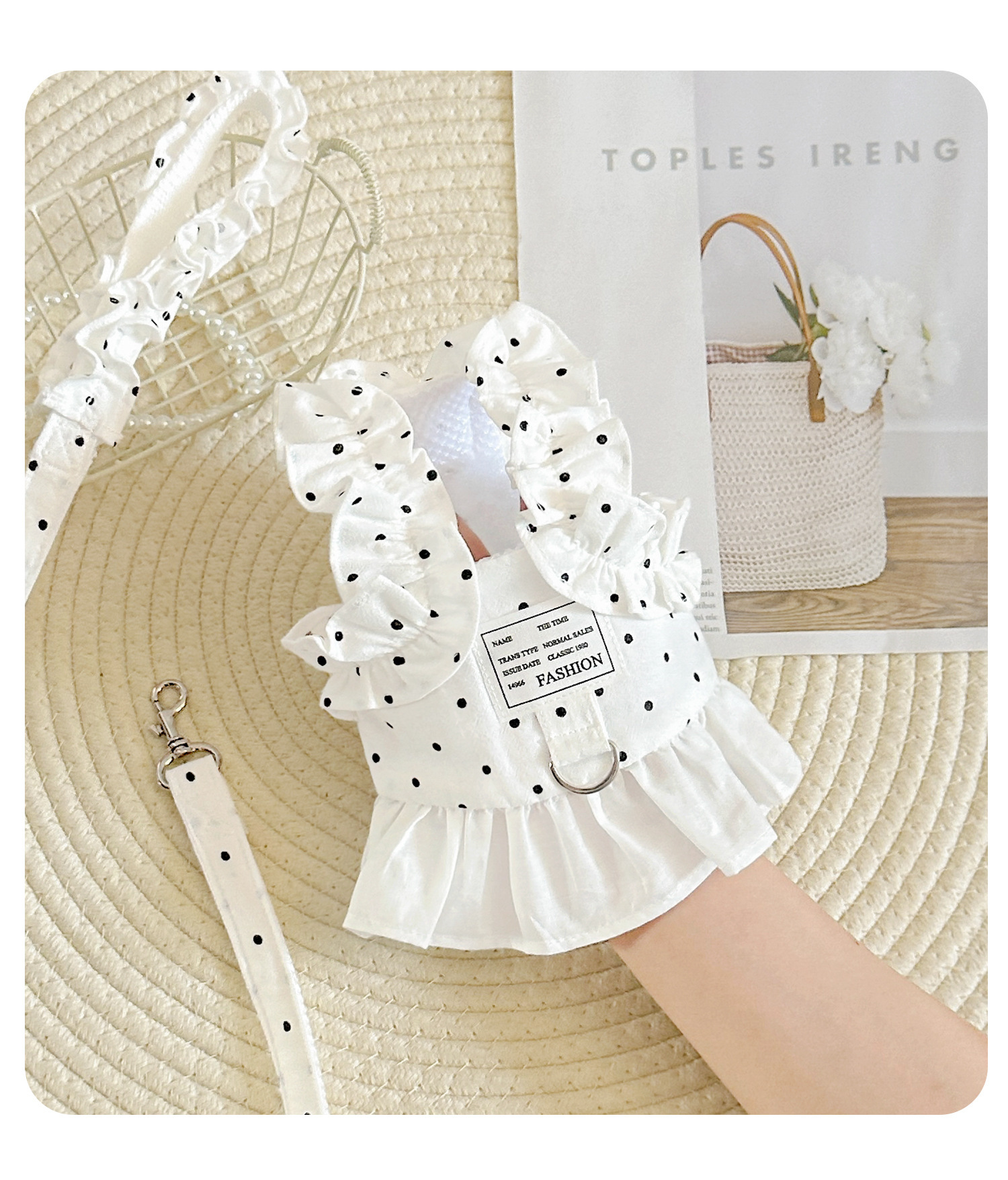 Set de arnés y correa para perro pequeño estilo chaleco verano_voghion.com